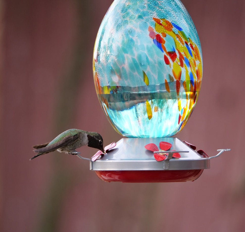 Muse Garden Hand Blown Glass Hummingbird Feeder - 27 Ounces - Fireworks