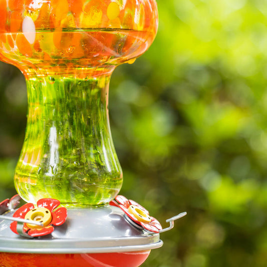 Muse Garden Hand Blown Glass Hummingbird Feeder, 28 Ounces, Blooming Calendula
