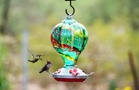 hummingbird feeder