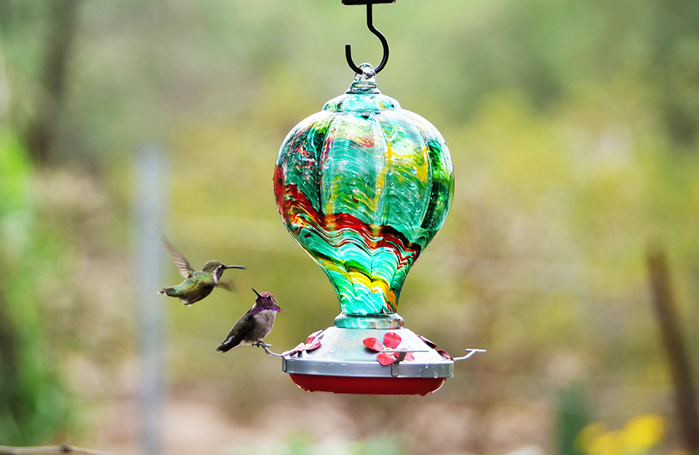 hummingbird feeder, black friday sale, Christmas gift