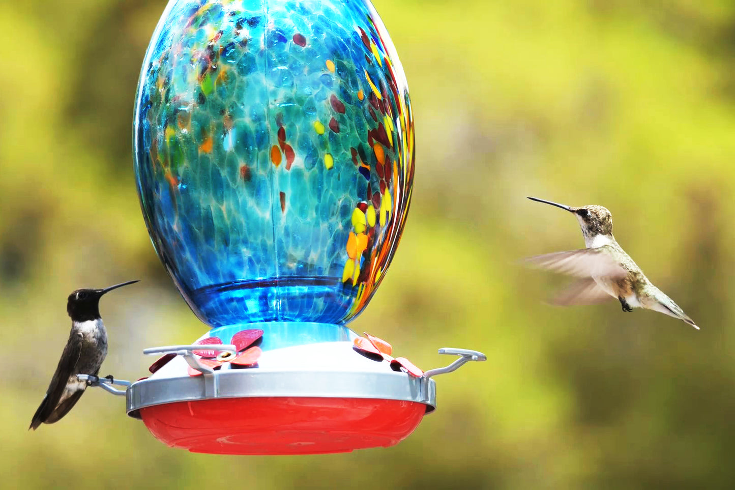 Muse Garden Hand Blown Glass Hummingbird Feeder  - 27 Ounces - Fireworks