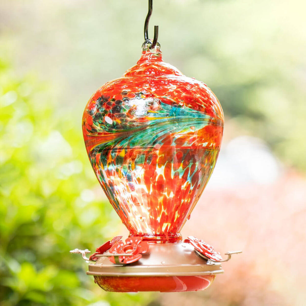 Muse Garden Pretty Blown Glass Hummingbird Feeder, Phoenix Flying